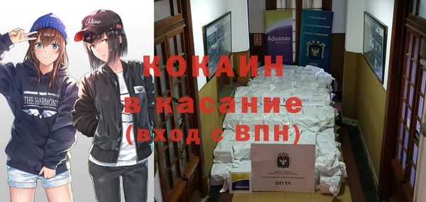 твердый Осташков