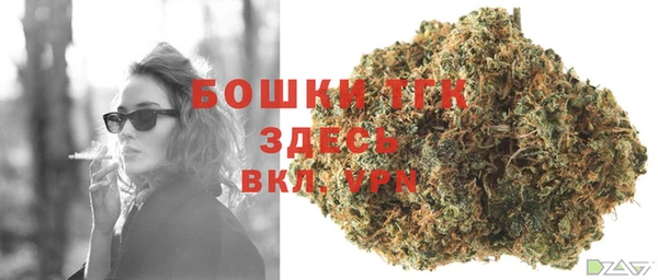 твердый Осташков