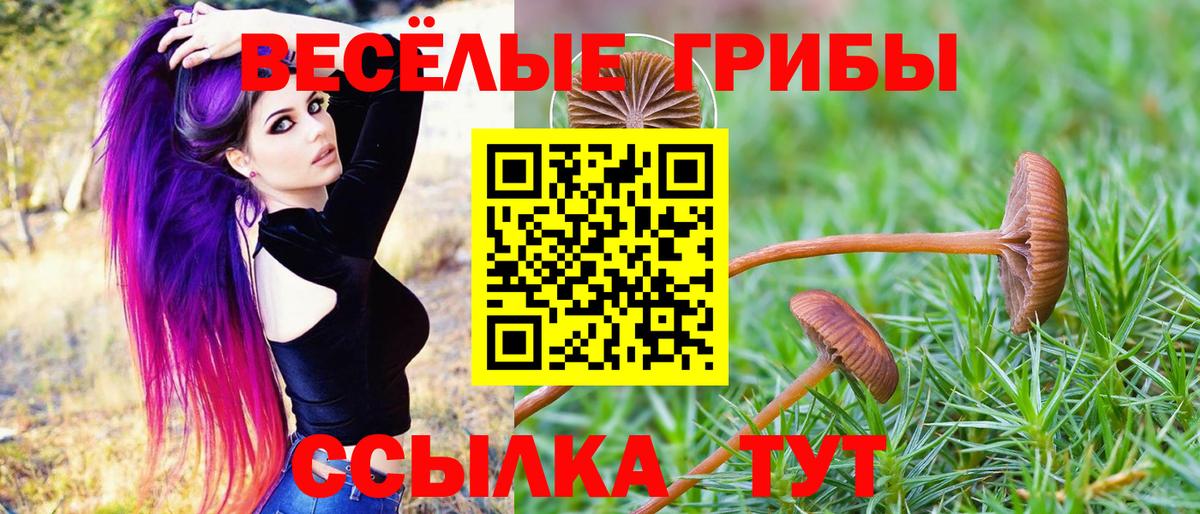 Мефедрон  ГАШ  Барнаул  Вход с VPN  Меф  